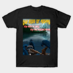 It’s Not A Lake, It’s An Ocean Tour T-Shirt